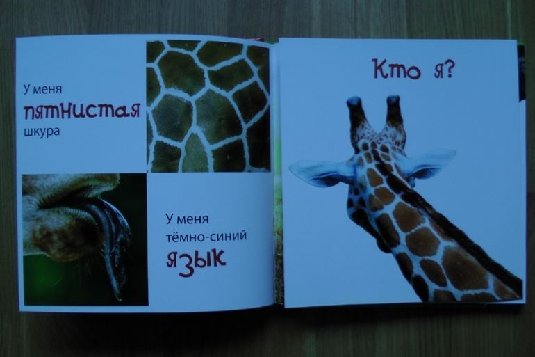 А у нас опять книжное пополнение...