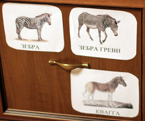 ТН Лошади (реальные и фантастические, волшебные)