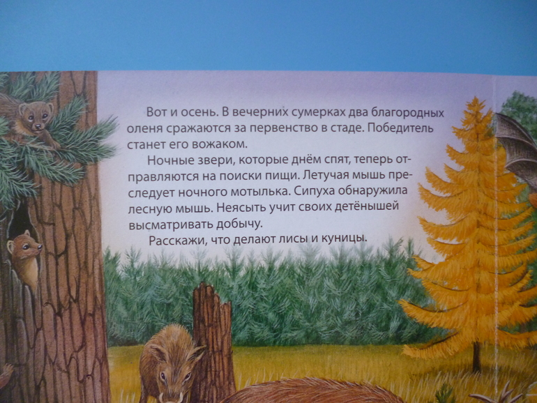 Первые книги малыша. Учим новые слова (бюджетные гляделки, много фото)