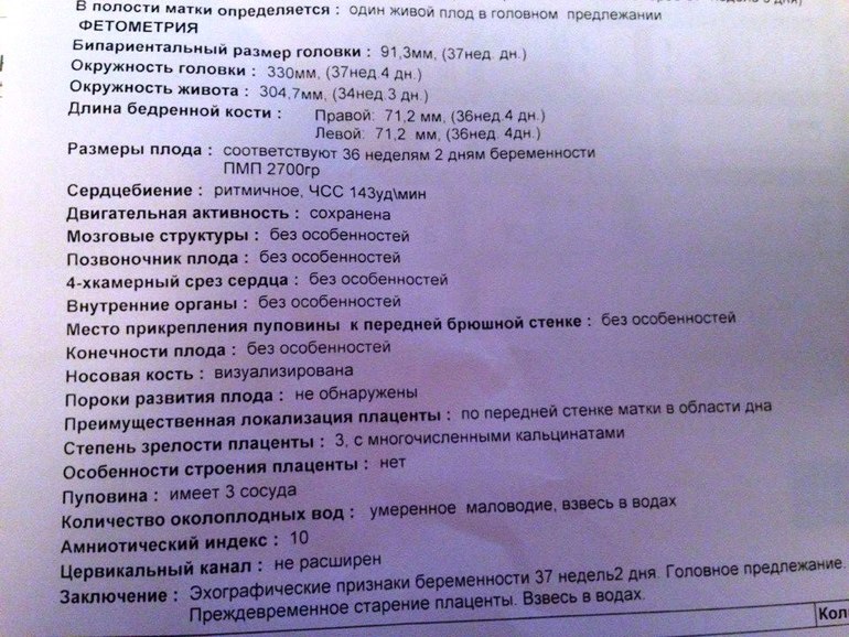 36 неделя беременности: симптомы, ощущения, развитие плода, что происходит