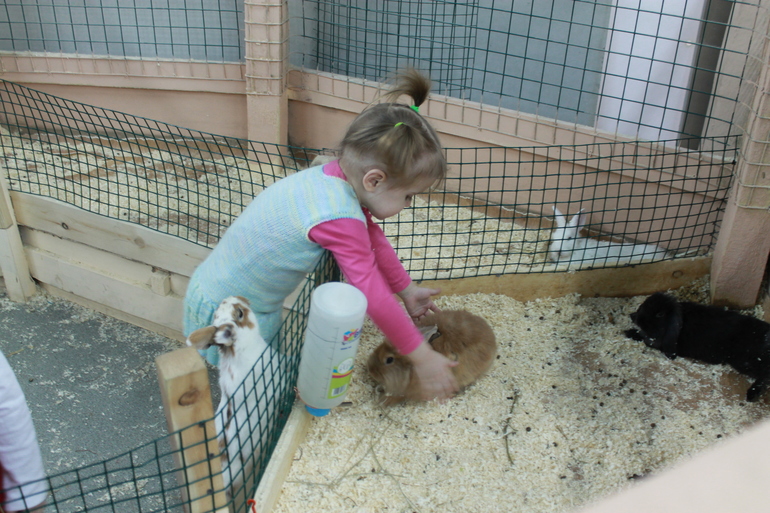 Сходили в контактный зоопарк
