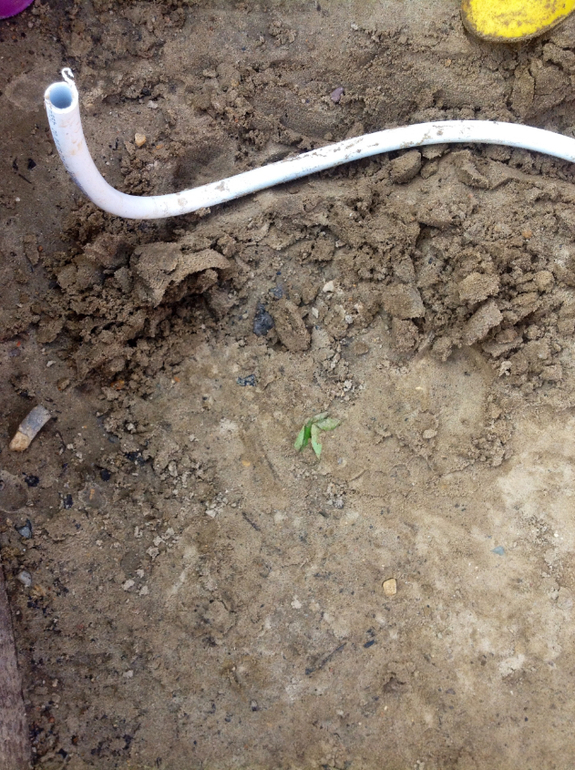 А у нас водопровод ! Вот !