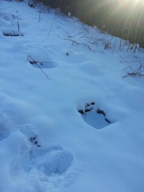 Наша стройка. Новости января. +фото
