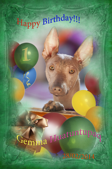 С Днём рождения, Гемма!!!