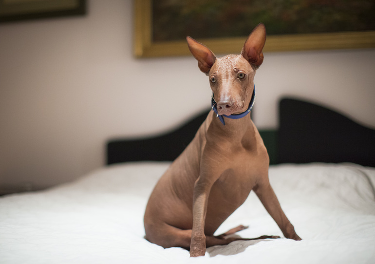 Мой малыш с большущими глазами))