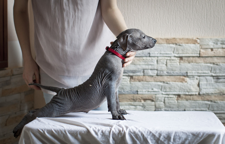 Пилатес и Блэйн))