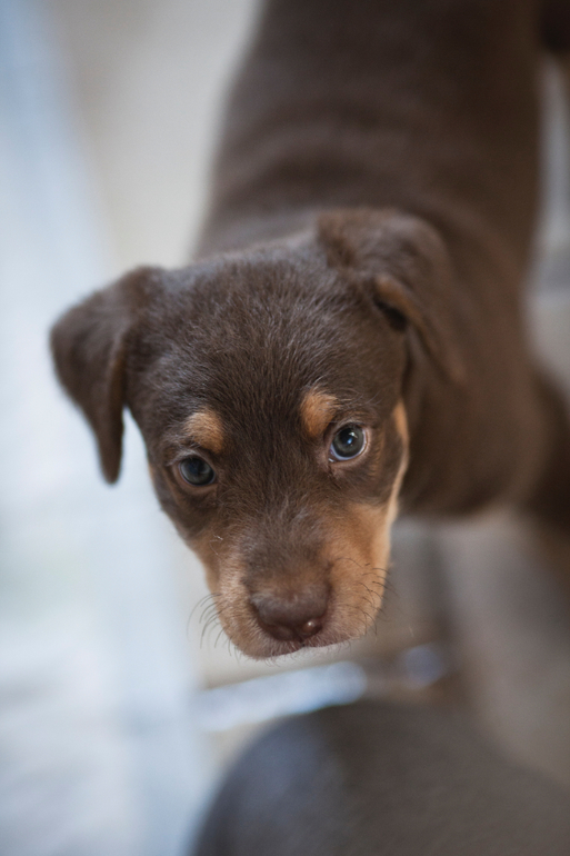 Супер-ребёнок