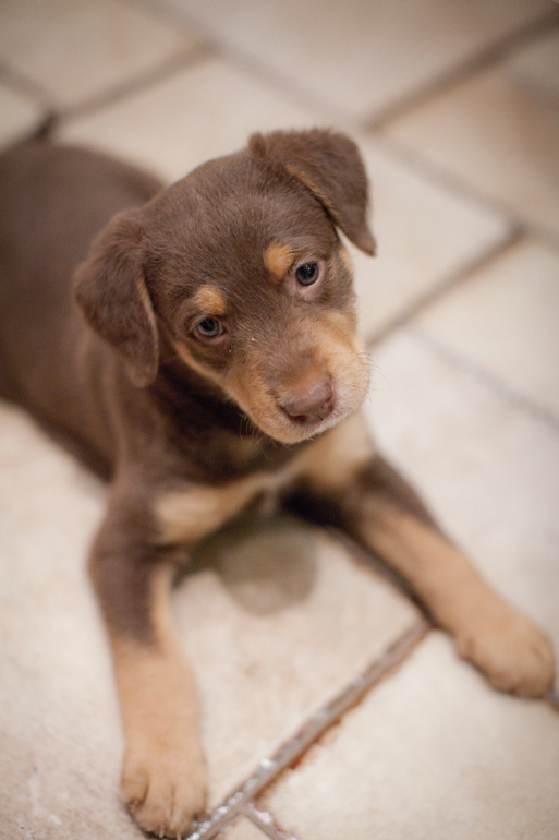 Супер-ребёнок