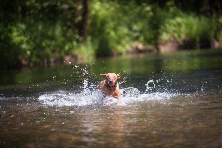 бесилки на водееее...