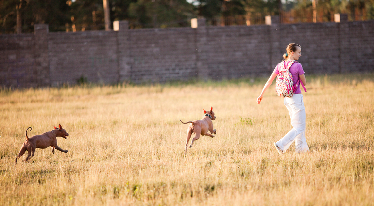 Тренировки в поле))