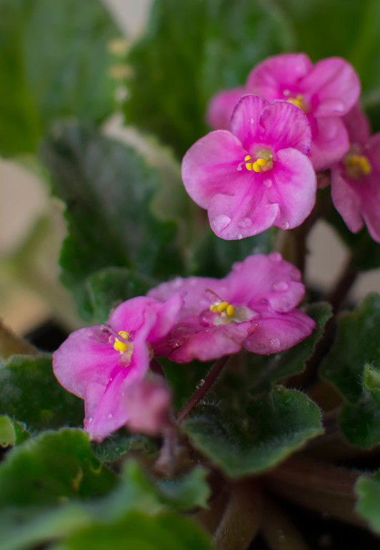 Контрольное задание № 49. Создание фотографии из текста.