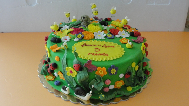 яркий тортик для двойняшек