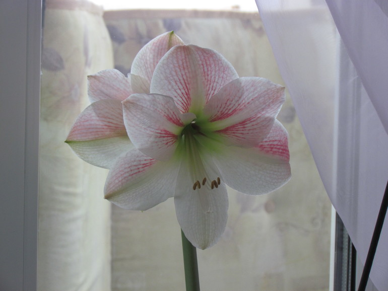 Приятная неожиданность!