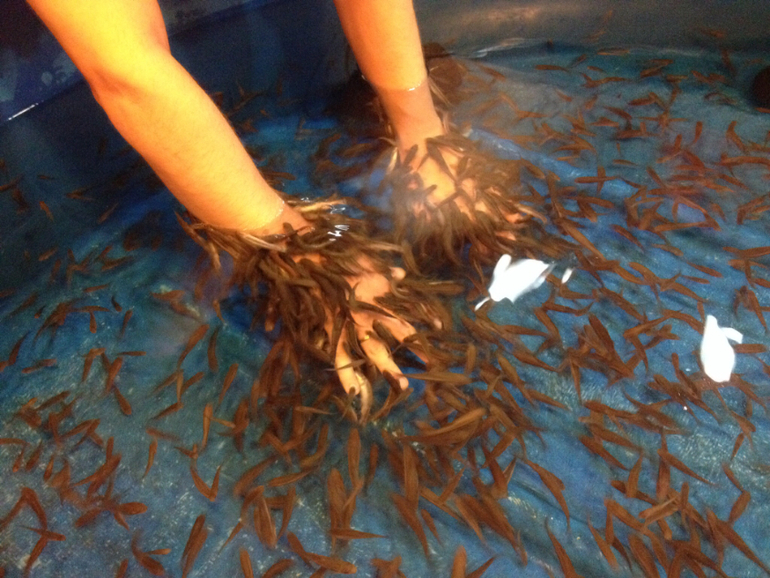 Рыбный СПА :))