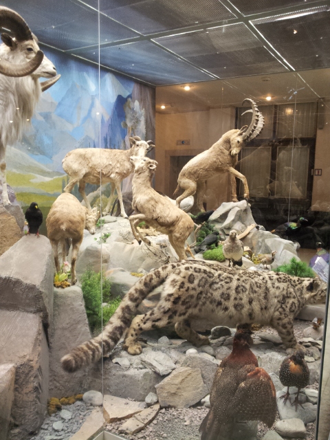 Музей Дарвина - мы там были - смотрите фото)))
