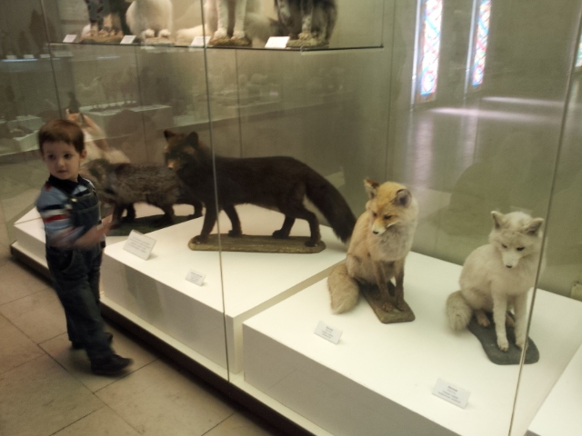 Музей Дарвина - мы там были - смотрите фото)))
