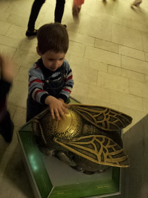 Музей Дарвина - мы там были - смотрите фото)))