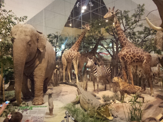 Музей Дарвина - мы там были - смотрите фото)))