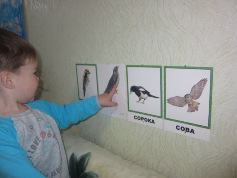 ТН ПТИЦЫ День 4