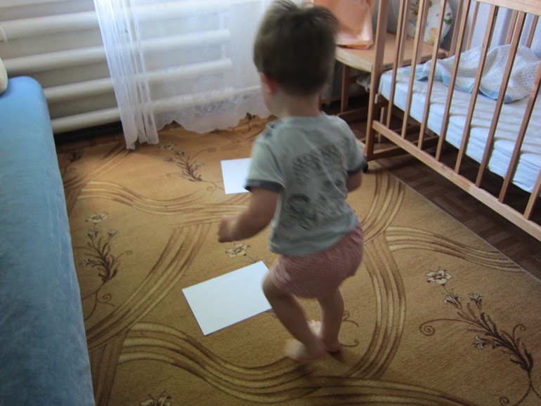 ТЗ Дождик (Шичида)