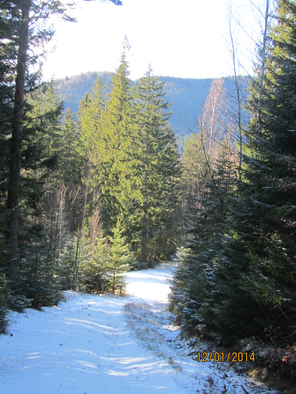 Рождественские каникулы. Карпаты. Часть 2