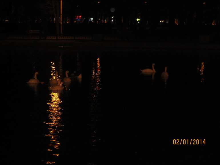 Новогоднее...продолжение следует)))))