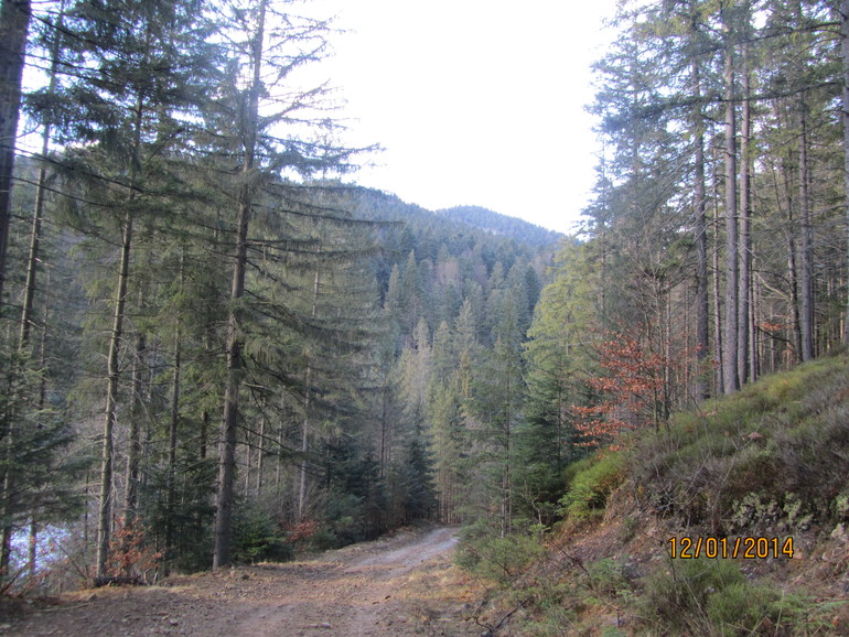 Рождественские каникулы. Карпаты. Часть 2