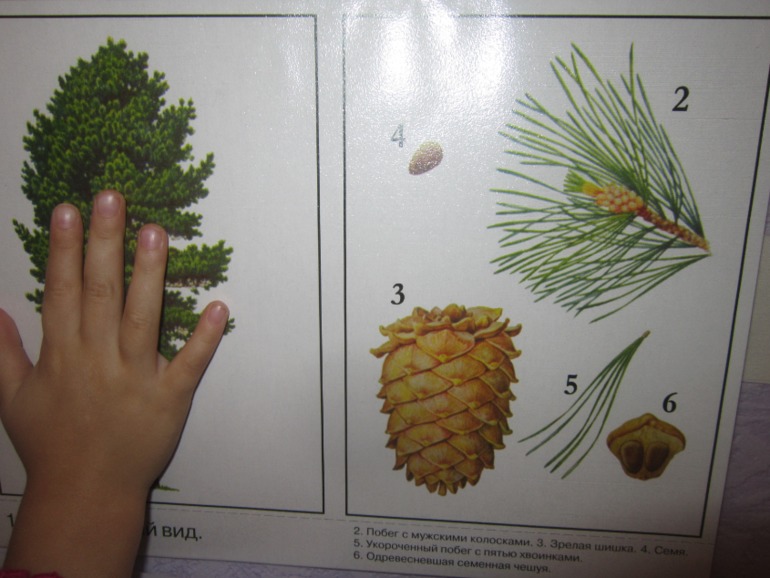 ТН Встречаем зиму. День 5. Зимние праздники