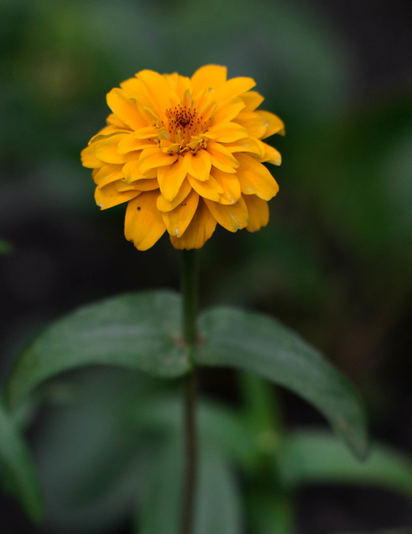 вот оно какое наше Лето:))