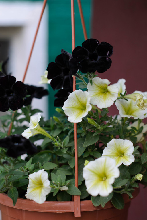 вот оно какое наше Лето:))