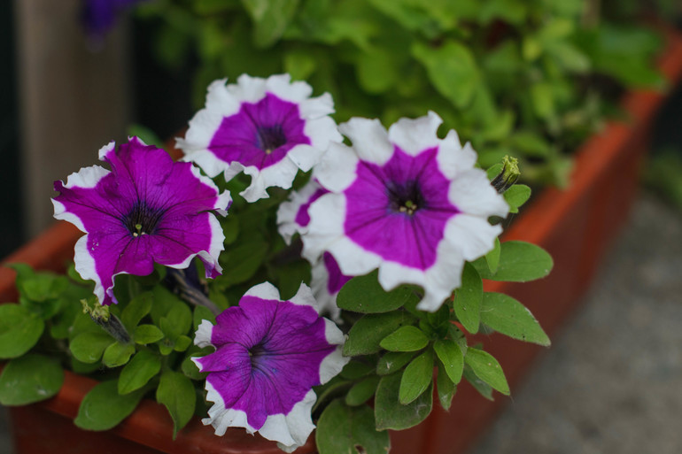 вот оно какое наше Лето:))