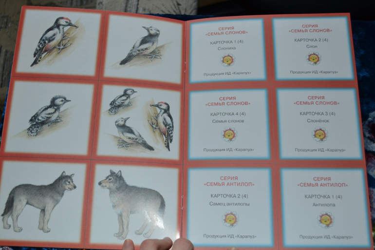 Развивающее пополнение))