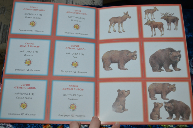 Развивающее пополнение))