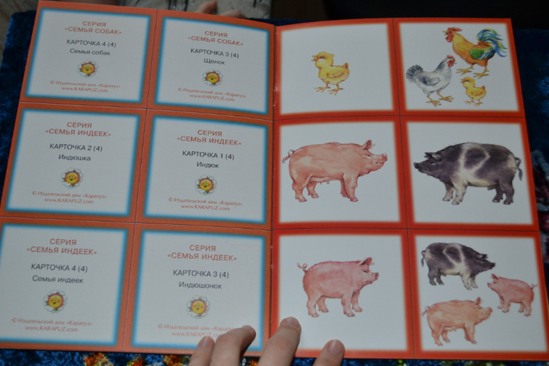 Развивающее пополнение))