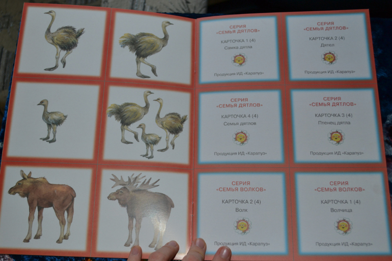 Развивающее пополнение))