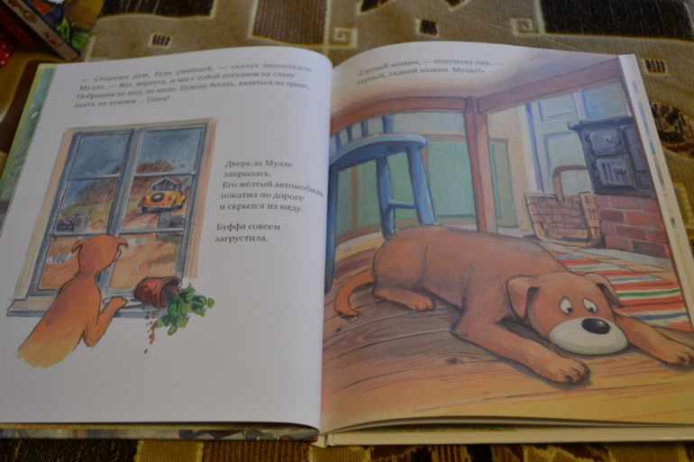 Наше книжное пополнение в 2 года