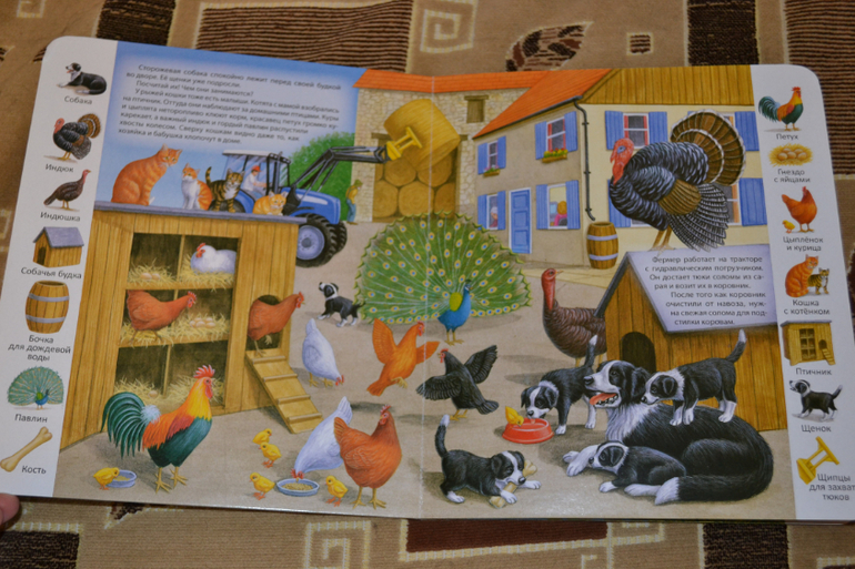 Наше книжное пополнение в 2 года