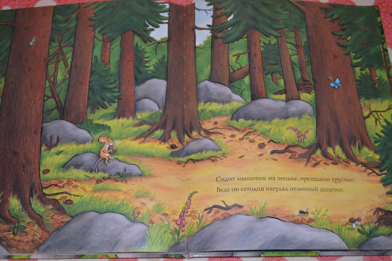 Дневник читателя июнь (сыну 2,0-2,1 г.)