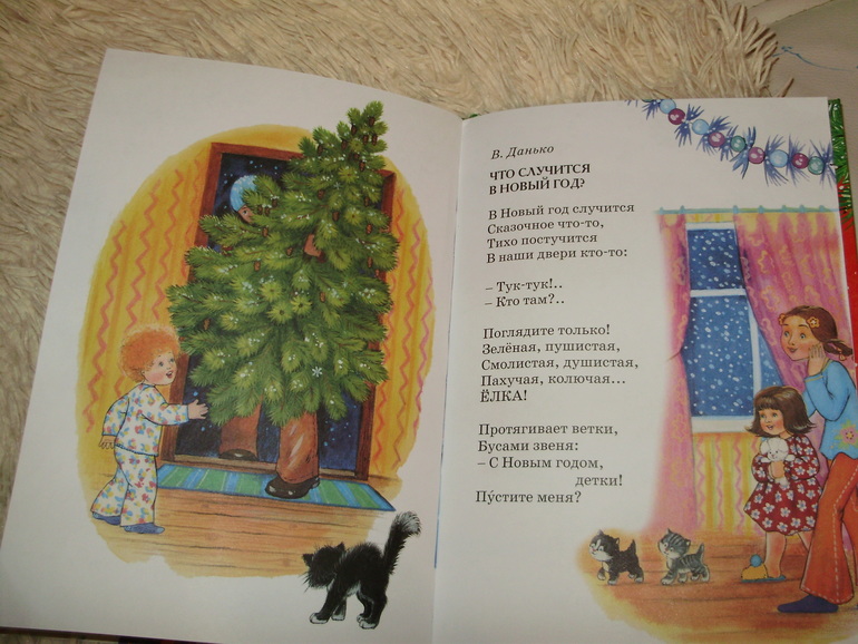ТН Новый год.День второй.