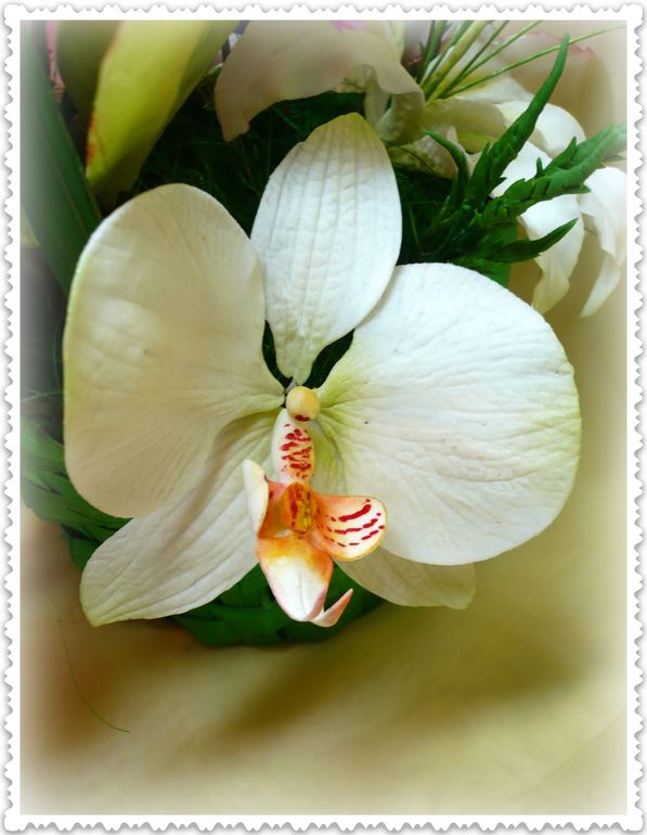 Мои сахарные цветочки с курсов.