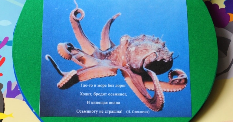 Книга о водных обитателях из картона