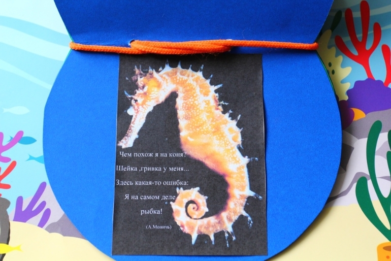 Книга о водных обитателях из картона