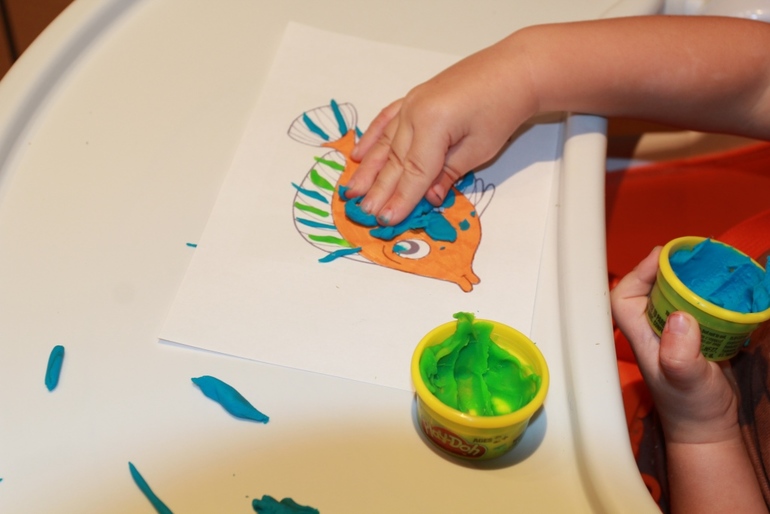 Наше знакомство с обитателями воды