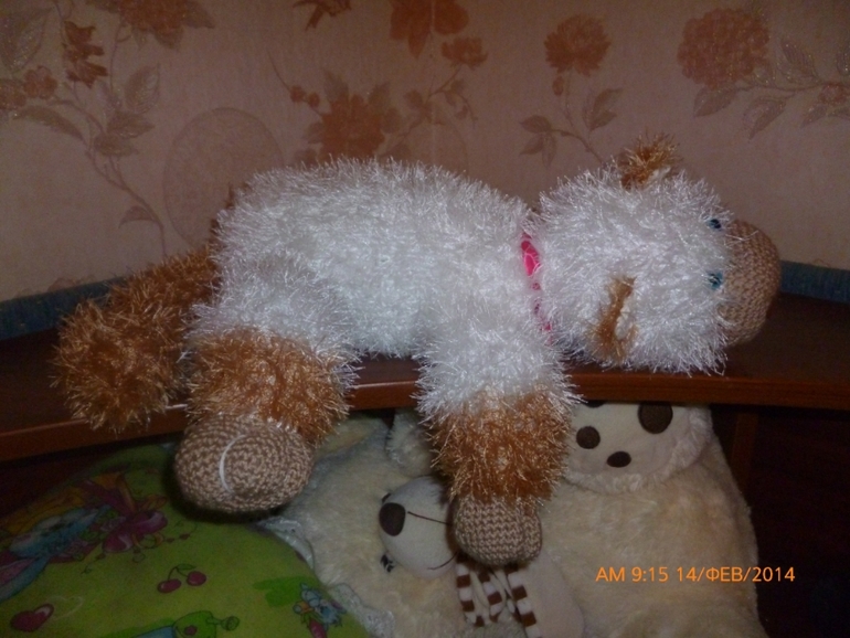 котик и лошадка