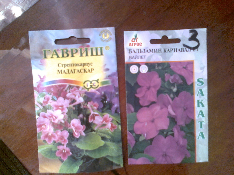 Накупила,буду сажать.