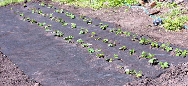 "Если хочешь быть здоровым - закаляйся!"