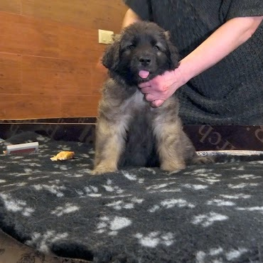 Трям, здравствуйте!!!;)