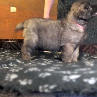 Трям, здравствуйте!!!;)