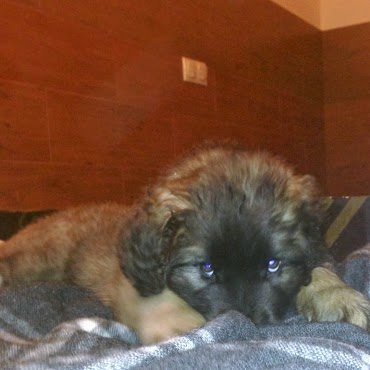 Трям, здравствуйте!!!;)