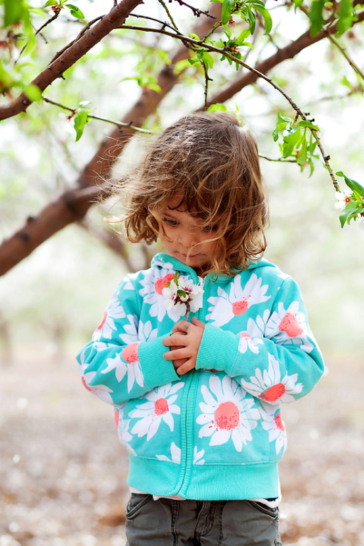 Цветет миндаль